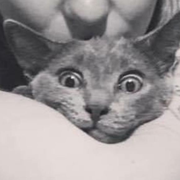 Meet your Posher, Kim - Picture 1 of 1